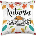 Autumn Blessings Thanksgiving Vibes Pumpkin Spice Fall Lover Throw Pillow by Unknown