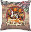 Happy Thanksgiving Holiday Throw Pillow by Unknown