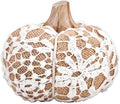 47th & Main Fall Décor Fabric Pumpkin Tabletop Mantel Shelf Thanksgiving Halloween Decorations for Home, Large, Lace Vine by 47thMain