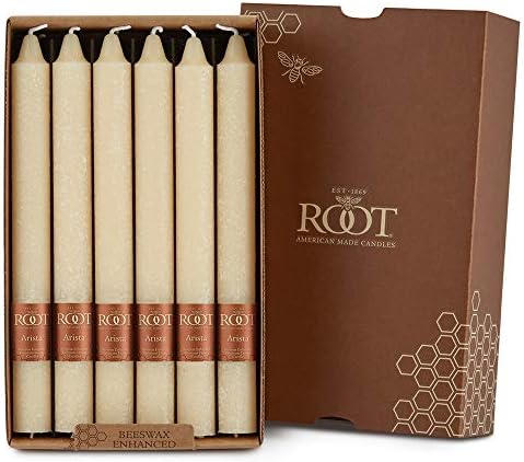 Root 12-Count Unscented Timberline Arista Candles, 9-Inch, Buttercream by RootCandles