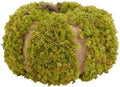 SAFAVIEH Home Collection 15-inch Decorative Artificial Moss Pumpkin (Fully Assembled) by Unknown