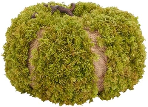 SAFAVIEH Home Collection 15-inch Decorative Artificial Moss Pumpkin (Fully Assembled) by Unknown