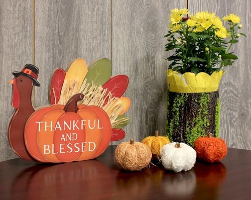 Worth Imports 8.5" Tabletop Wood Thanksgiving Turkey Decoration and Centerpiece - Image 4