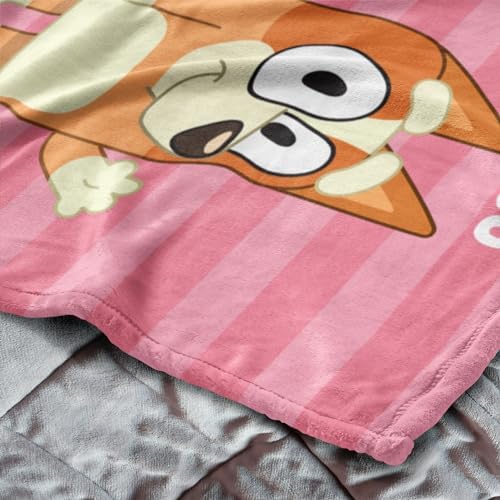 Northwest Bluey Silk Touch Throw Blanket, 50" x 60", Roll Call Bingo