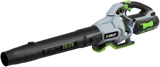 EGO 650 CFM 56V Cordless Leaf Blower with 5Ah Battery and American 14" 4-Blade Push Reel Lawn Mower Bundle