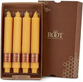Root Candles 4-Count Unscented Grecian Collenettes, 9-Inch, Butterscotch by RootCandles