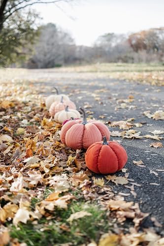 Boston International Fabric Pumpkin Tabletop Mantel Shelf Fall Autumn Thanksgiving Halloween Decorations for Home, Small, Terracotta Orange Corduroy - Image 3