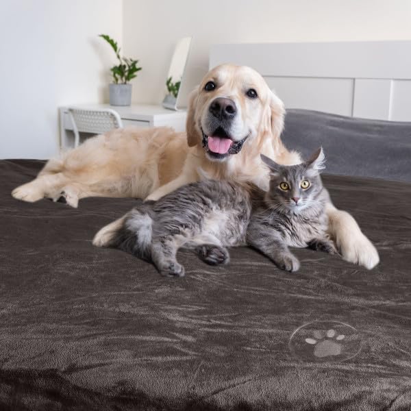 Waterproof Pet Blanket Collection– Reversible Throw Protects Couch, Car, Bed from Spills, Stains, or Fur – Dog and Cat Blankets by PETMAKER Dark Gray Large