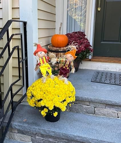 Worth Imports 15" Harvest Scarecrow on 9" Pick, Set of 6 - Image 3