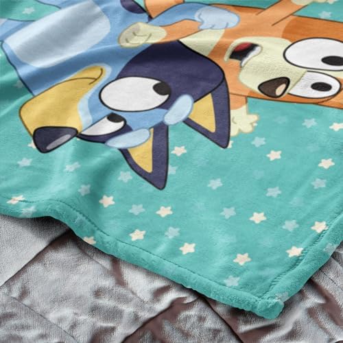 Northwest Bluey Silk Touch Throw Blanket, 50" x 60", Big Play