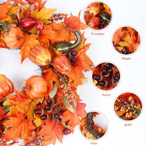 24 Inch Fall Wreath for Front Door Outside, Fall Door Wreaths for Front Door Outside with Pumpkin, Maple, Acorn and Grain, Artificial Autumn Wreaths for Harvest Halloween Thanksgiving Décor - Image 3