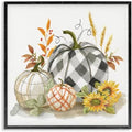 Stupell Industries 'Fall Patchwork Patterned Pumpkins', Framed Giclee Art, Black, 12 x 12 Inches, Easy to Hang and Sturdy, Made in USA, by Nan by StupellIndustries