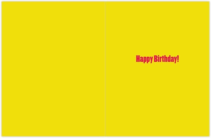 The Best Card Company - 4 Birthday Cards Bulk Bundle (8.5 x 11 Inch) - Jumbo Greeting Cards w/Envelopes - From a Group
