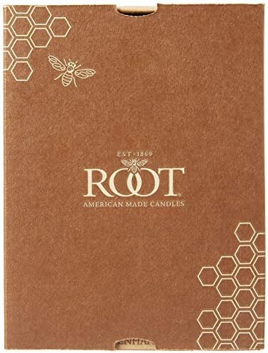 Root Candles 4-Count Unscented Grecian Collenettes, 7-Inch, Buttercream - Image 3