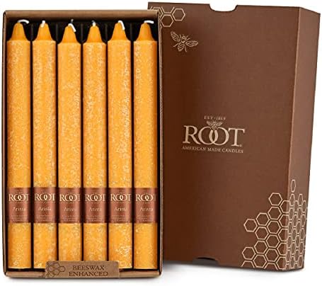 Root 12-Count Unscented Timberline Arista Candles, 9-Inch, Butterscotch by RootCandles