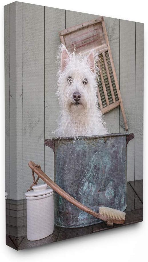 The Stupell Home Decor Collection Ready for a Bath Little White Dog in a Wash Tub Photograph Stretched Canvas Wall Art, Multi-Color