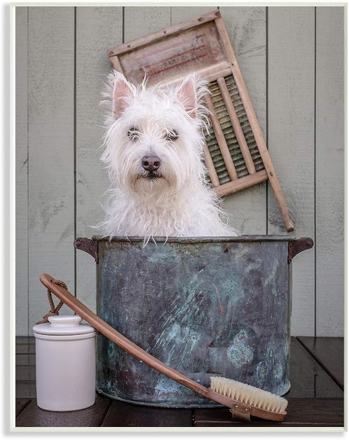 The Stupell Home Decor Collection Ready for a Bath Little White Dog in a Wash Tub Photograph Wall Plaque Art, Multi-Color