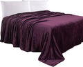 Elegant Comfort Luxury Velvety Feel Blanket, All-Season Lightweight Blanket, Ultra Plush, Soft, Cozy-Fuzzy Flannel Fleece for Couch, Sofa, Bed, Travel, Solid Design, Twin/Twin XL, Purple