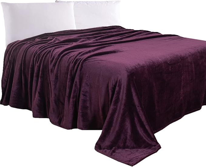 Elegant Comfort Luxury Velvety Feel Blanket, All-Season Lightweight Blanket, Ultra Plush, Soft, Cozy-Fuzzy Flannel Fleece for Couch, Sofa, Bed, Travel, Solid Design, Twin/Twin XL, Purple
