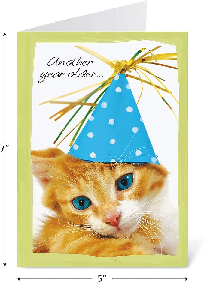Current Mega Birthday Greeting Cards Value Pack – Set of 40 (20 Designs) Bulk Assortment, Large 5 x 7 inches, Envelopes Included