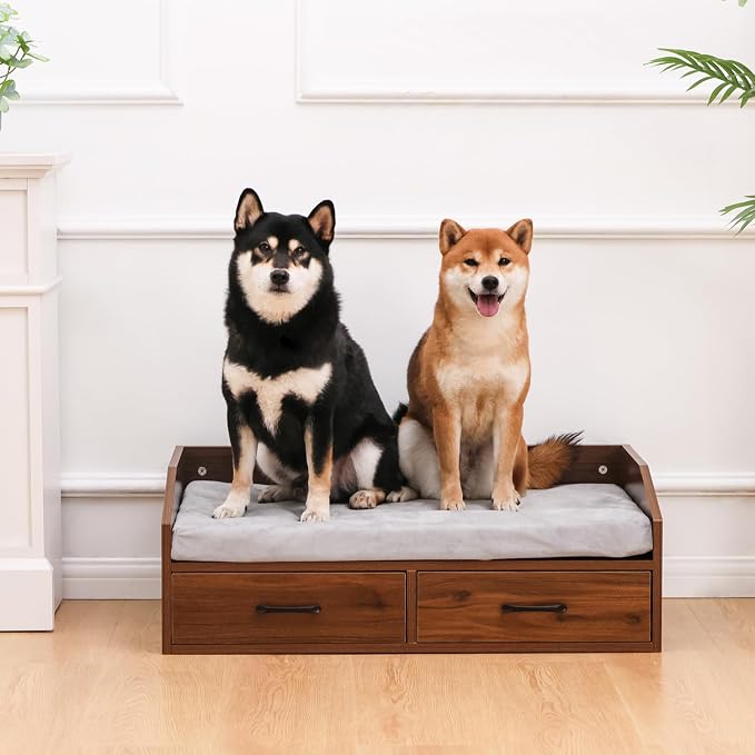 Elevated Dog Bed for Small to Medium Dogs – 32” x 21” Indoor Wooden Pet Sofa with Soft Cushion, Mid-Century Modern Style, Sturdy & Stylish (Walnut)