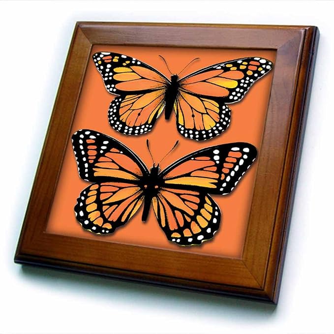 8x8 Framed Tile - Two Colorful Monarch Butterflies on a Matching Orange Background BLN Vintage Wildlife, Pets and Insects Collection