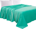 Elegant Comfort Luxury Velvety Feel Blanket, All-Season Lightweight Blanket, Ultra Plush, Soft, Cozy-Fuzzy Flannel Fleece for Couch, Sofa, Bed, Travel, Solid Design, Full/Queen, Tiffany
