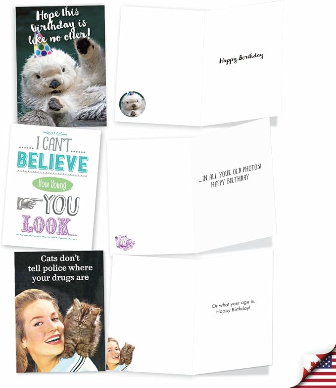 NobleWorks Another Year Older - 20 Boxed Birthday Greeting Cards with Envelopes (4.63 x 6.75 Inch) - AC8839BDG-B2x10