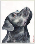 Black Labrador Watercolor, 13 x 19 Inch Mounted Print on Wall Plaque | Stupell Industries · By George Dyachenko · Ready to hang · Easy gift for pet lovers · Made in USA