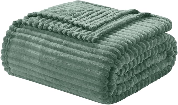 Nestl Green Throw Blanket for Couch - Cozy Warm Fuzzy Blankets for Women, Plush Small Fleece Throws for Girls - Sage Green, 50 x 60 Inches