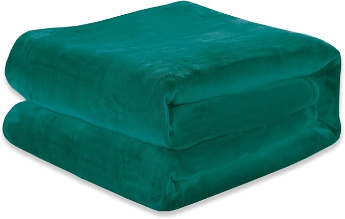 Elegant Comfort ™ Luxury Velvety Softness Fuzzy Plush Micro-Velour Ultra-Soft Blanket, Twin XL, Teal