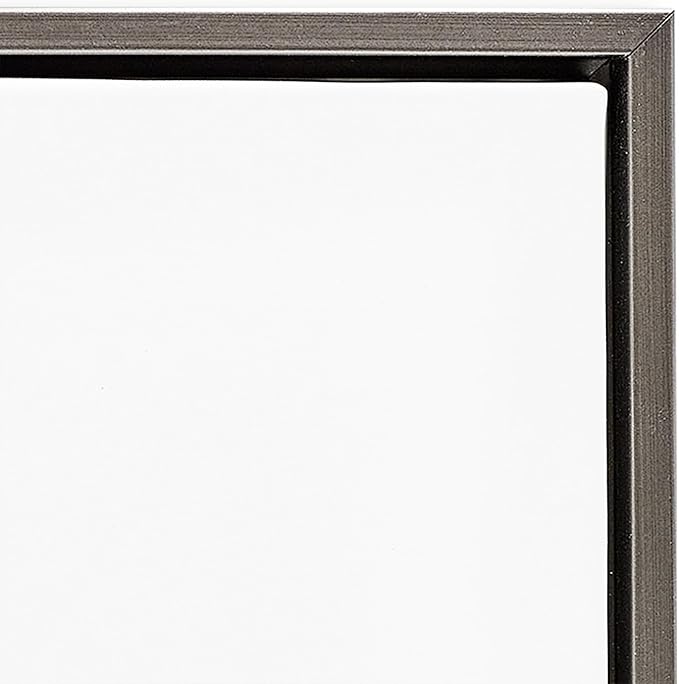 'Abstract Flower Bloom Painting'| Floating Frame Canvas Art | Stupell Industries | Gray, 18 x 18 Inches, Easy to Hang and Sturdy, Made in USA, by K. Nari