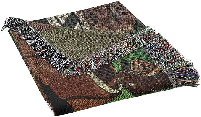 Northwest NFL Woven Tapestry Wall Hanging, 48 x 60 Inches, Officially Licensed, Decorative Fringes