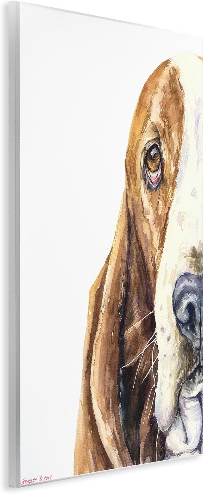 Cute Basset Hound Watercolor, 13 x 19 Inch Mounted Print on Wall Plaque | Stupell Industries | 13 x 19 Inches, Easy to Hang and Sturdy, Made in USA, by George Dyachenko