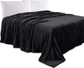 Elegant Comfort Luxury Velvety Feel Blanket, All-Season Lightweight Blanket, Ultra Plush, Soft, Cozy-Fuzzy Flannel Fleece for Couch, Sofa, Bed, Travel, Solid Design, Twin/Twin XL, Black