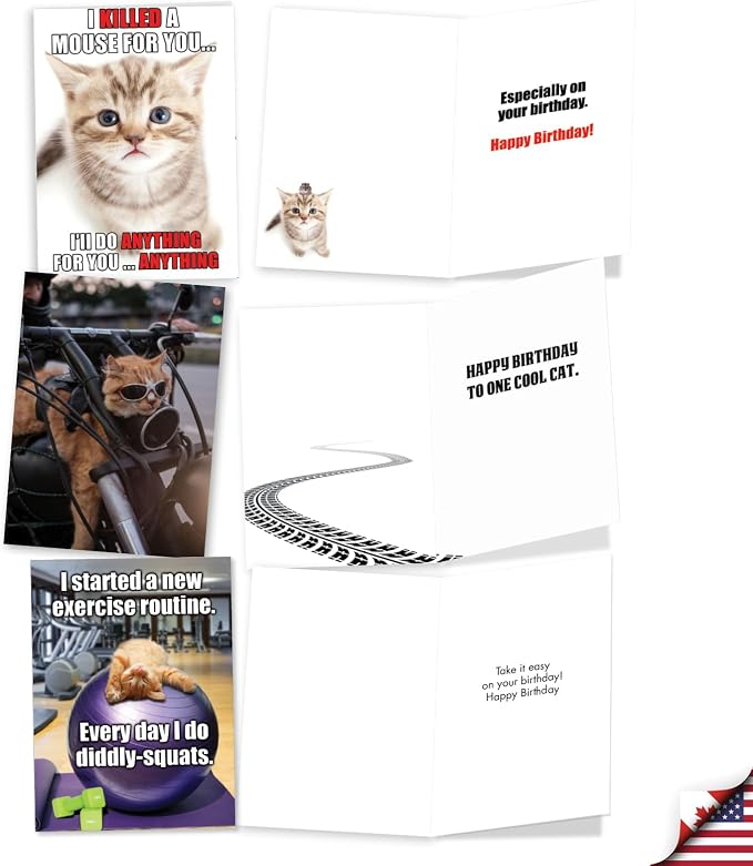 NobleWorks 20 Assorted Box Set Funny Birthday Greeting Cards w/5 x 7 Inch Envelopes (10 Designs, 2 Each) Bday PetiGreet Cats AC4886BDG-B2x10