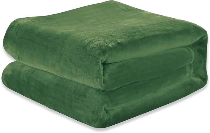 Elegant Comfort Luxury Velvety Softness Fuzzy Plush Micro-Velour Ultra-Soft Blanket, Full/Queen, Green