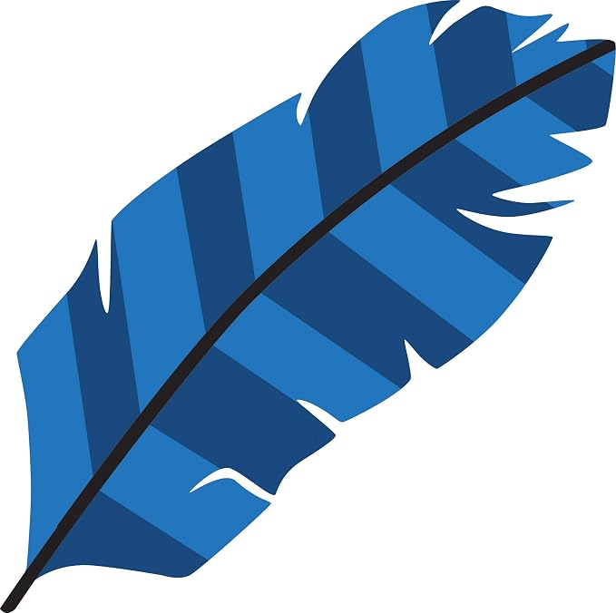 Barker Creek Double-Sided Cut-Outs 2-Pack, Bohemian Feathers, School Accents, Bulletin Boards, Party Decorations, Office, Home Learning, Classroom Decor, 7.5" Long, 72 per Set (4422)