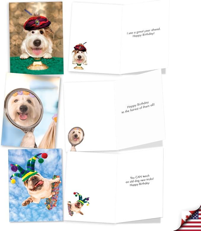 NobleWorks 20 Assorted Box Set Funny Birthday Greeting Cards w/5 x 7 Inch Envelopes (10 Designs, 2 Each) Bday Shaggy Dogs AC3216BDG-B2x10