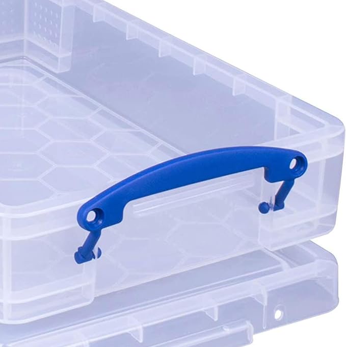 Really Useful Box 4 Liter Plastic Stackable Storage Container w/Snap Lid & Built-In Clip Lock Handles for Home & Office Organization, Clear (2 Pack)