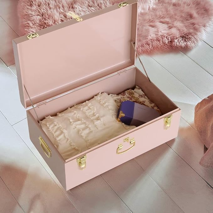 Vixdonos Decorative Metal Box Storage Trunks Set of 2 College Dorm Chest with Handle (Pink)