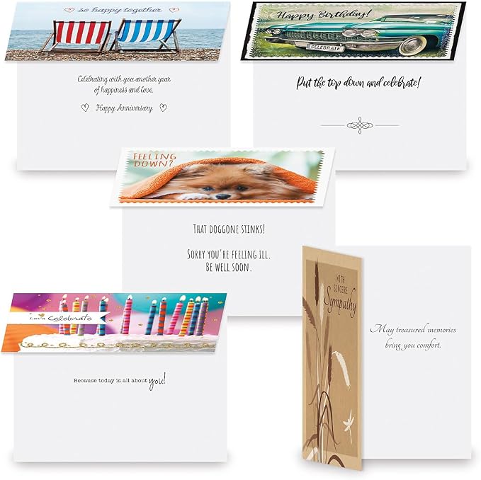 Current Modern Messages All Occasion Cards with Envelopes - 40 Pack Assorted Greeting Cards, Large 5" x 7" Assortment, Variety of Birthday, Get Well, Sympathy, Thinking of You