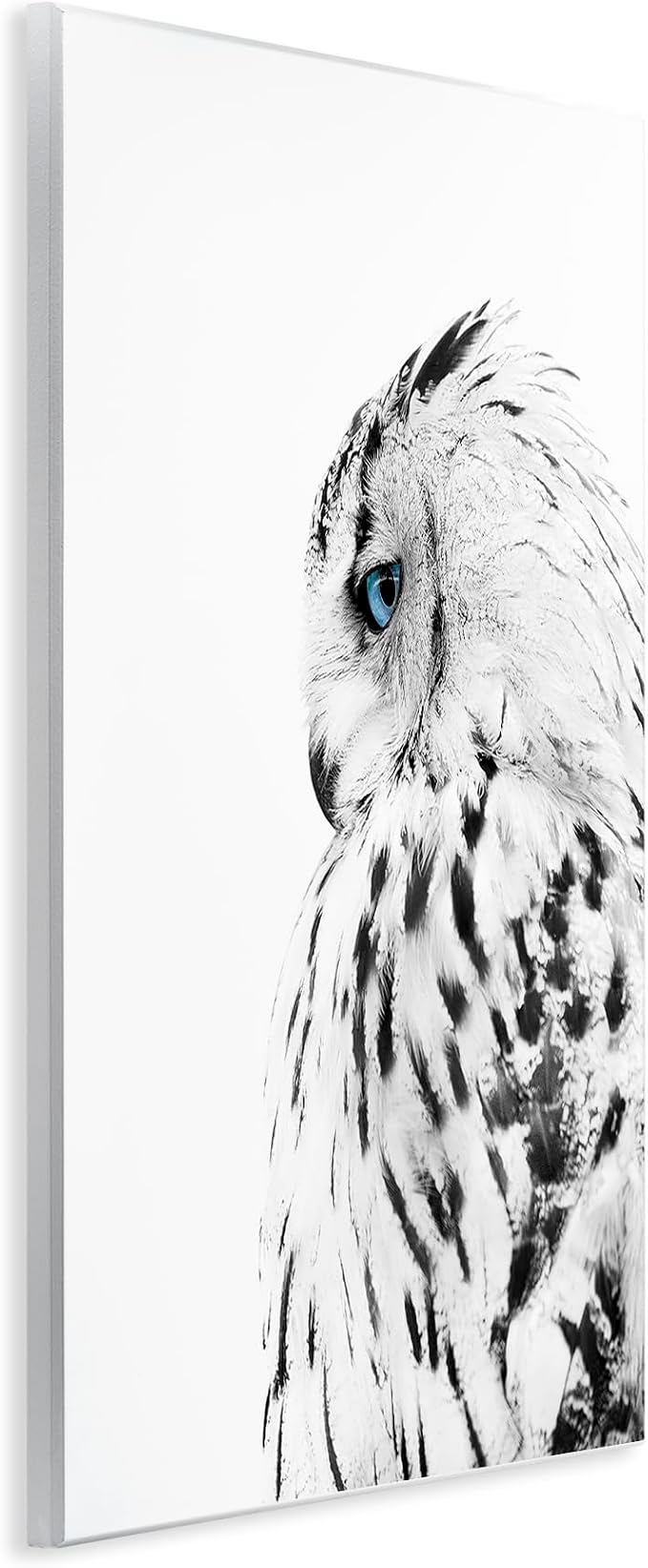 Stupell Industries 'Snow Owl Peering Blue Eyes', Wall Plaque Art, 13 x 19 Inches, Easy to Hang and Sturdy, Made in USA, by Design Fabrikken