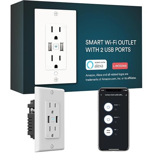 Smart in Wall Outlet, Standard Electrical Outlets with 2 USB Ports & 2 Plugs, Work with Alexa Google Home 15 Amp Outlet ETL FCC for Home Office | Tamper-Resistant, No Hub Required, 2.4G WiFi Outlet, Works with Alexa/Google Home, Kitchen/Bedroom/Office,...