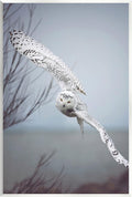 Majestic Snowy Owl Wildlife, 13 x 19 Inch Mounted Print on Wall Plaque | Stupell Industries · By Carrie Ann Grippo-Pike · Ready to hang · Made in USA