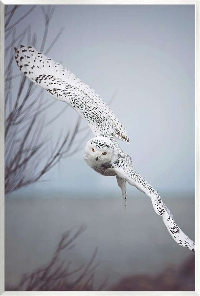 Majestic Snowy Owl Wildlife, 13 x 19 Inch Mounted Print on Wall Plaque | Stupell Industries · By Carrie Ann Grippo-Pike · Ready to hang · Made in USA
