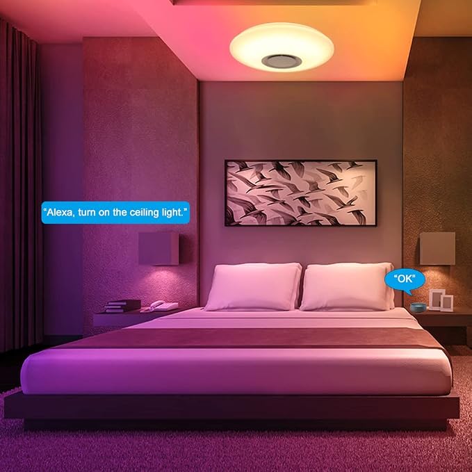 Ceiling Lights with Bluetooth Speaker, 15 inch Smart Ceiling Lamp Compatible with Alexa and Google Home,Room Light for Bedroom, Living Room