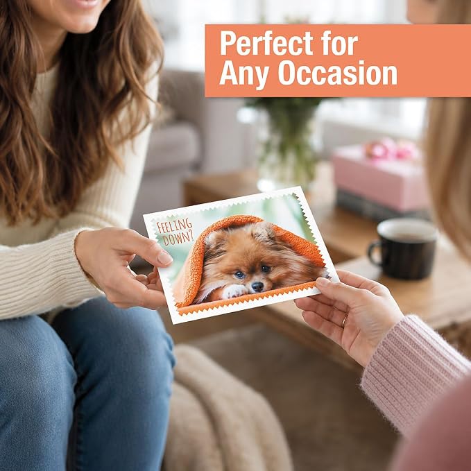 Current Modern Messages All Occasion Cards with Envelopes - 40 Pack Assorted Greeting Cards, Large 5" x 7" Assortment, Variety of Birthday, Get Well, Sympathy, Thinking of You