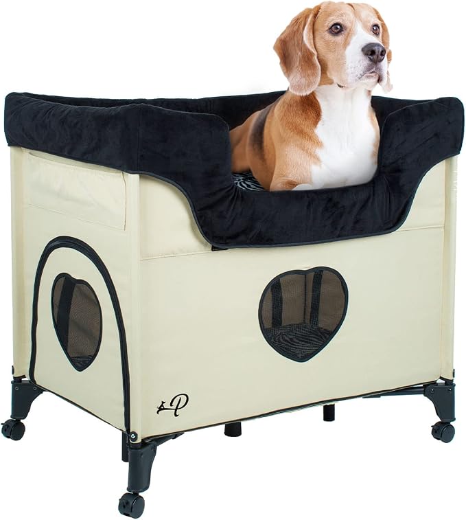 PETIQUE Bedside Lounge Pet Bed, Raised Bunk Bed for Medium Size Pets for Cats & Dogs, Zebra Vibes Design