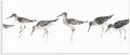 'Minimal Beach Bird Sandpipers'| Wall Plaque Art | Stupell Industries | 17 x 7 Inches, Easy to Hang and Sturdy, Made in USA, by Avery Tillmon